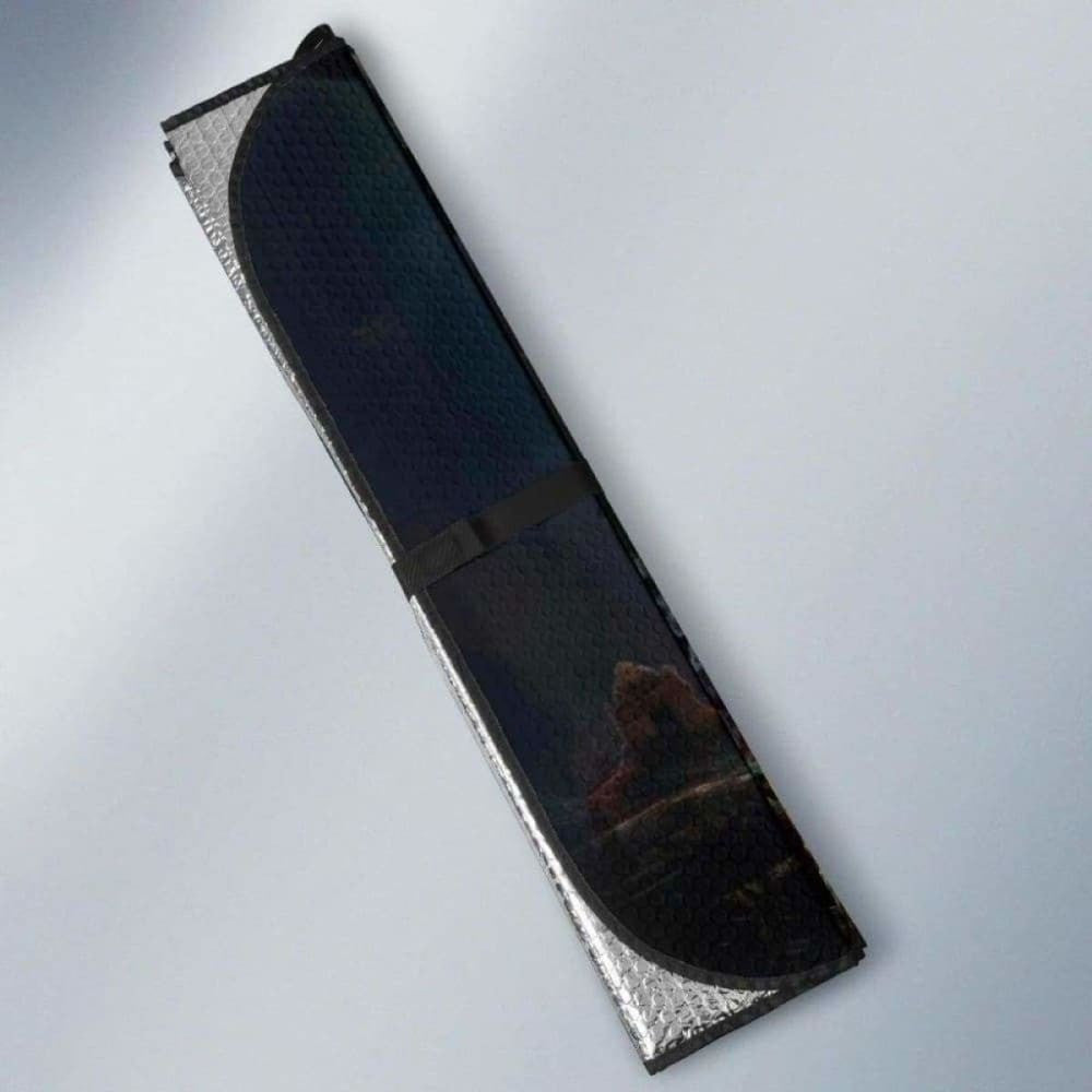 Dragon Auto Sun Shades