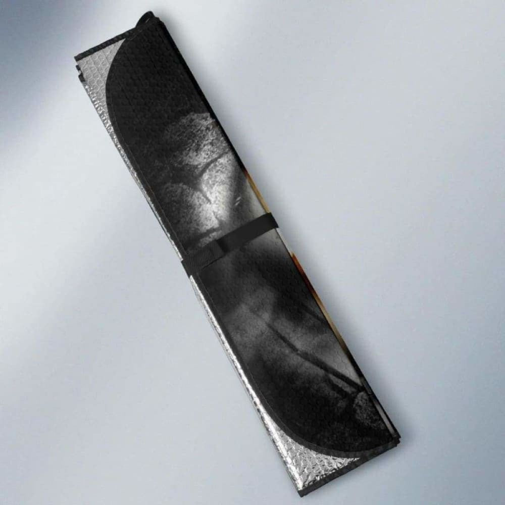 Dragon Eyes Car Sun Shades