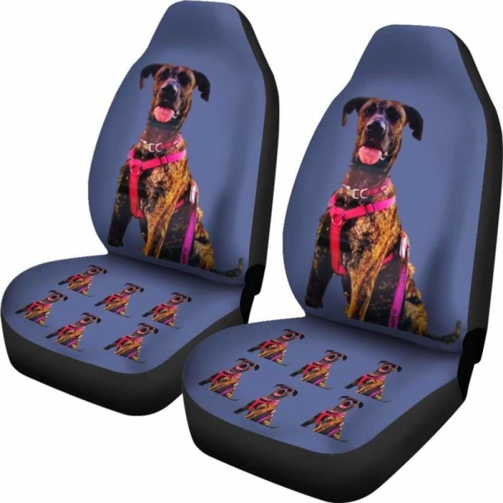 Great Dane Car Seat Covers Brindle