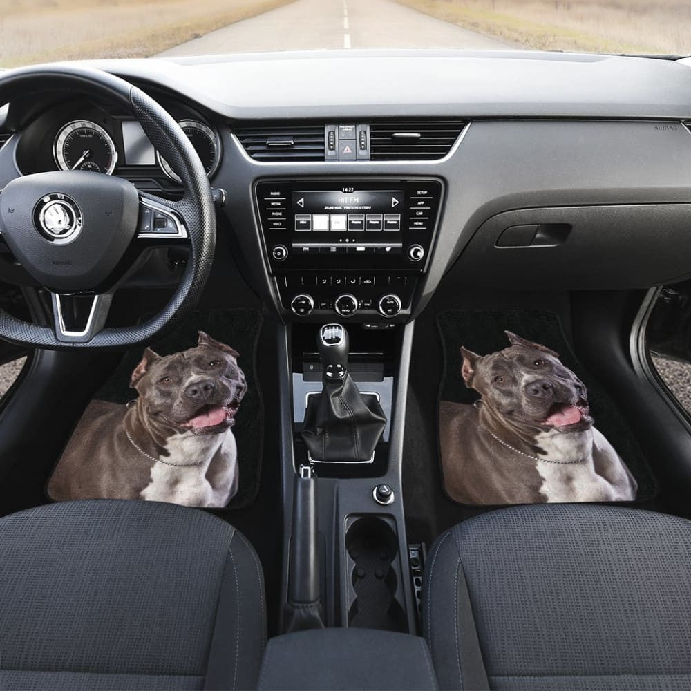 Pit Bull Design Car Floor Mats Colorful Back