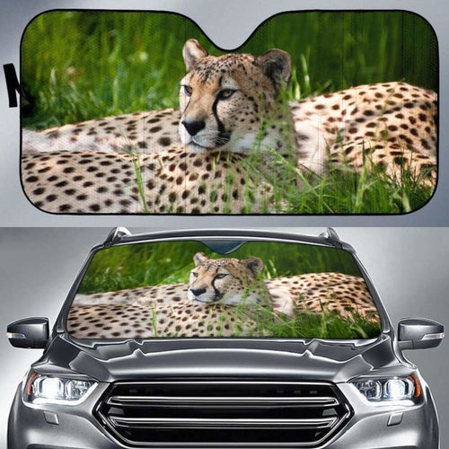 Cheetah Cologne Zoo Hd Car Sun Shade